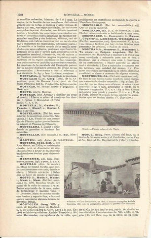 LAMINA 21302: Puente de Mosul, Irak