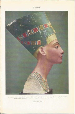 LAMINA 21321: Nefertiti