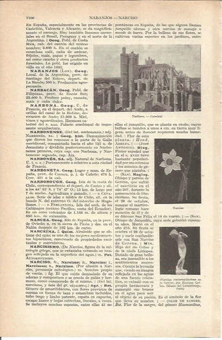 LAMINA 21317: Catedral de Narbona, Francia