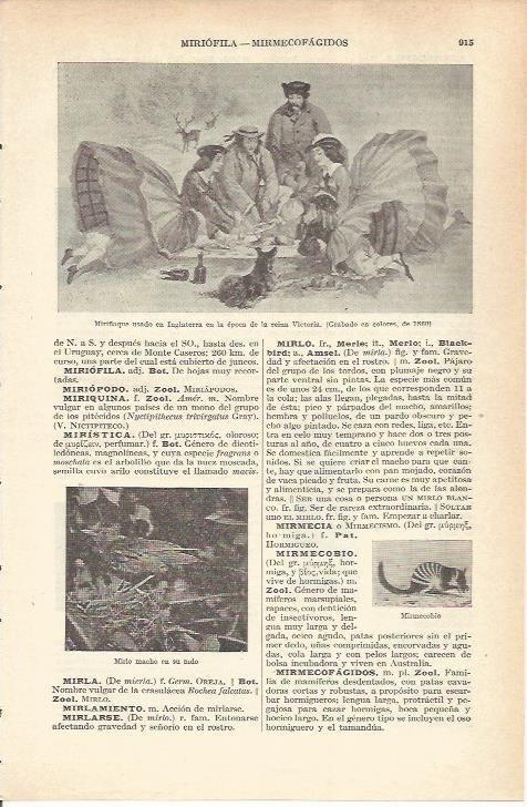 LAMINA 21285: Miriñaque de epoca victoriana