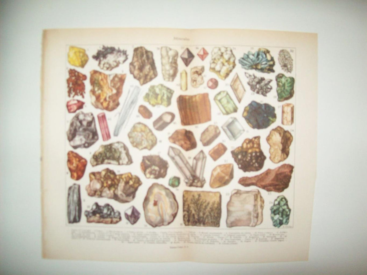LAMINA 21281: Minerales