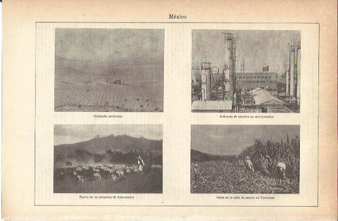 LAMINA 21271: Hacienda, refineria y campos de Mexico