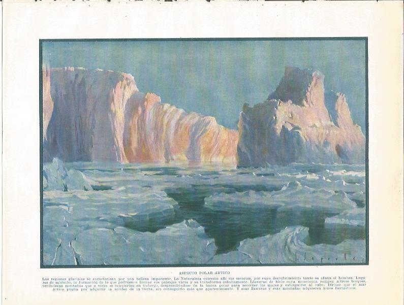 LAMINA 20970: Aspecto polar artico