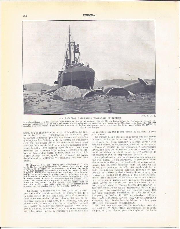 LAMINA 20969: Estacion de ballenas flotante
