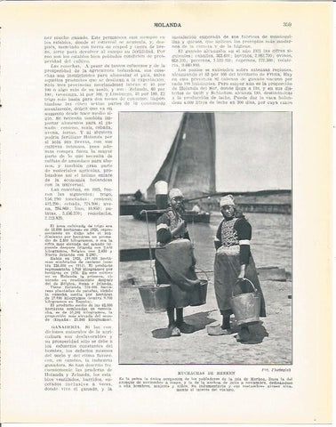 LAMINA 21009: Chicas de Merken, Holanda