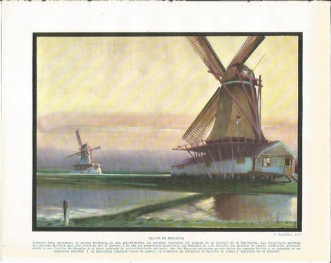 LAMINA 21004: Llano de Holanda