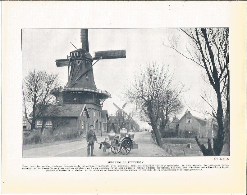 LAMINA 21015: Suburbio de Rotterdam