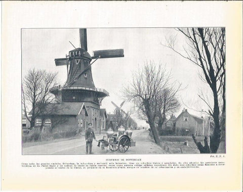 LAMINA 21015: Suburbio de Rotterdam
