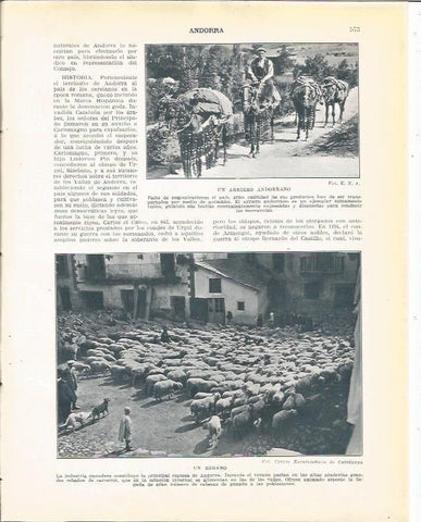 LAMINA 21122: Rebaño y arriero de Andorra