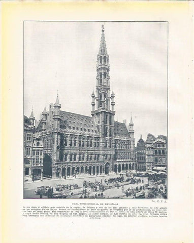 LAMINA 21033: Ayuntamiento de Bruselas