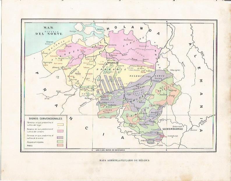 LAMINA 21029: Mapa agropecuario de Belgica