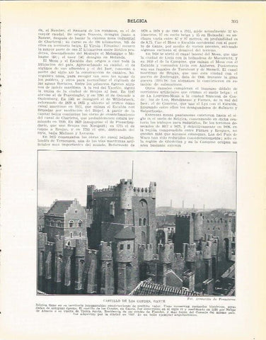 LAMINA 21026: Castillo de los Condes en Gante, Belgica
