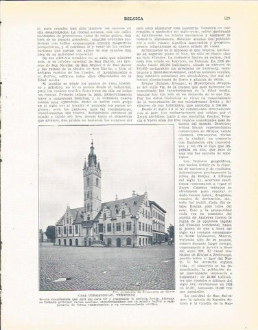 LAMINA 21046: Ayuntamiento de Termonde, Belgica