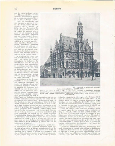 LAMINA 21045: Ayuntamiento de Audenarde, Belgica