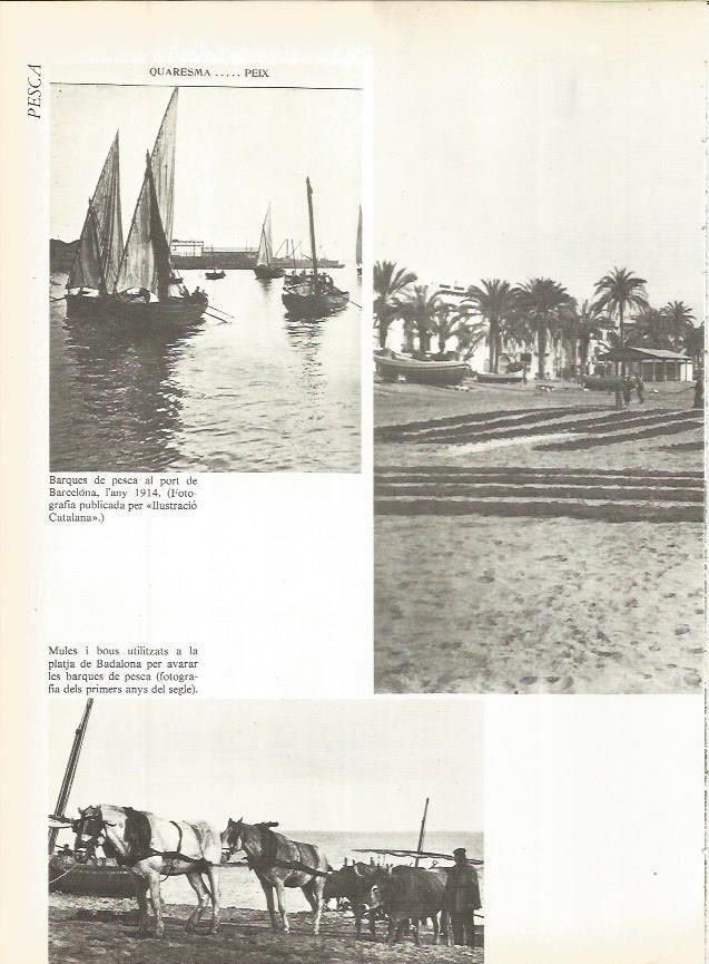 LAMINA 20725: Barcas de pesca y mulos en el Puerto de Barcelona