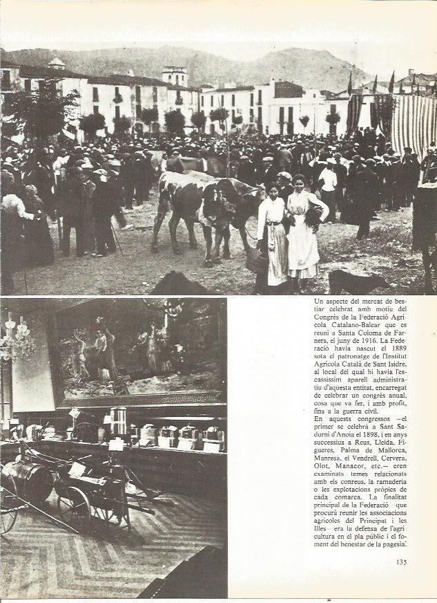LAMINA 20724: Mercado de animales en Santa Coloma de Farners en 1916