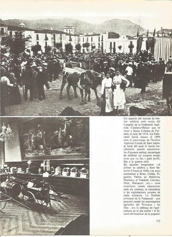 LAMINA 20724: Mercado de animales en Santa Coloma de Farners en 1916
