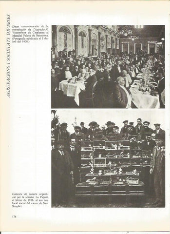 LAMINA 20719: Comida de la Asociacion Vegetariana de Catalunya en 1908