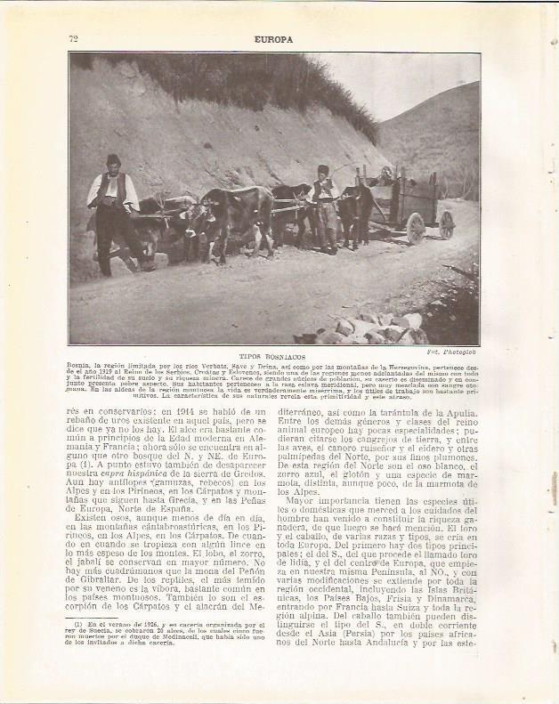 LAMINA 20856: Hombres de Bosnia