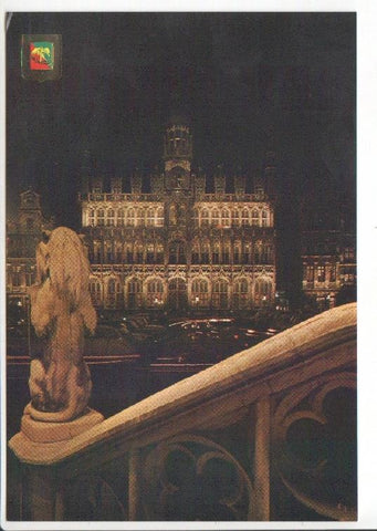 Postal JC0865: Brussels (Bruselas). Place and Kings House by night