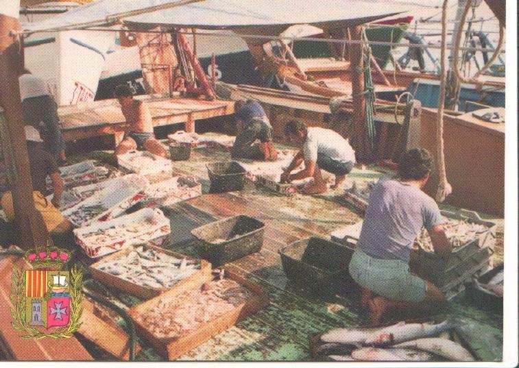 Postal JC0872: Sant Carles dela Rapita (Tarragona). Pesca