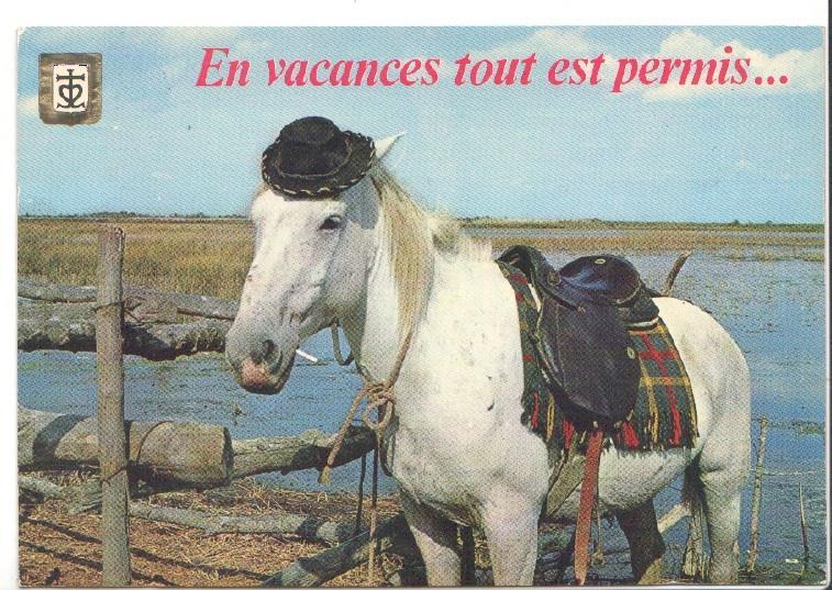 Postal JC0874: En vacances tout est permis... Caballo blanco con gorro