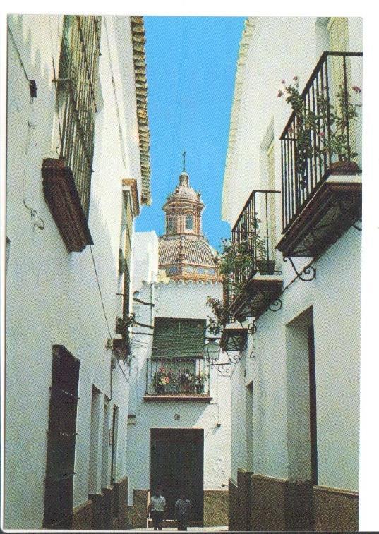 Postal JC0935: Calle Juan Tamariz. Carmona (Sevilla)