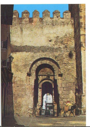 Postal JC0939: Puerta de Sevilla, Carmona (Sevilla)