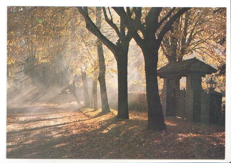 Postal JC0953: Camprodon (Girona). Passeig Maristany