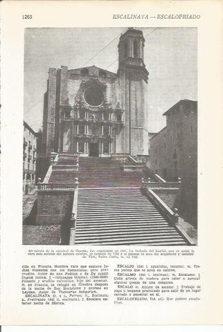 LAMINA 22434: Escalinata de la Catedral de Girona