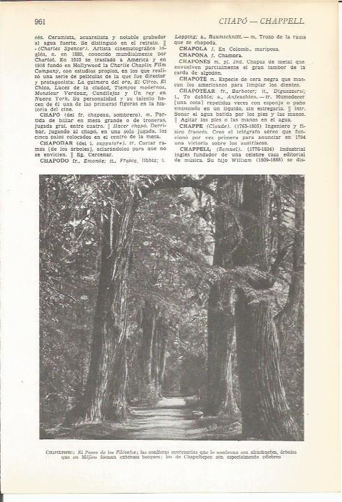 LAMINA 22380: El Paseo de los filosofos, por Chapultepec