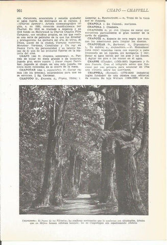 LAMINA 22380: El Paseo de los filosofos, por Chapultepec