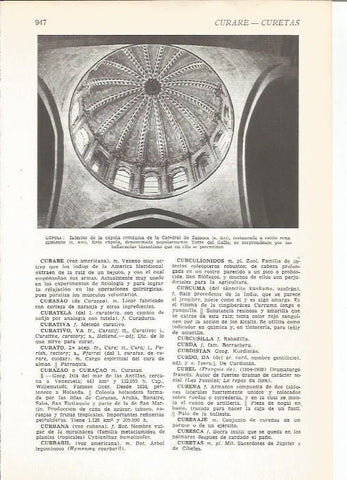LAMINA 22376: Cupula de la Catedral de Zamora