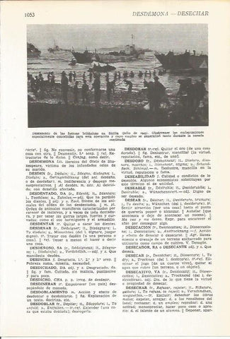 LAMINA 22401: Desembarco de las tropas de Gran Bretaña en Sicilia en julio de 1943