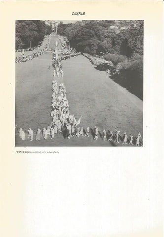 LAMINA 22398: Procesion en Lourdes