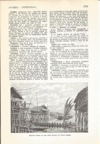 LAMINA 22530: Piraguas de Nueva Guinea
