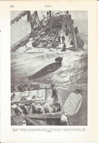 LAMINA 22523: Pesca