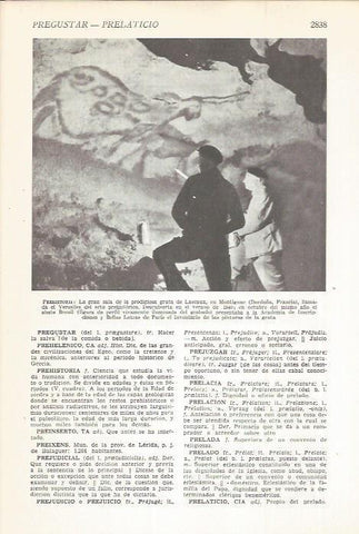 LAMINA 22556: Gruta de Lascaux