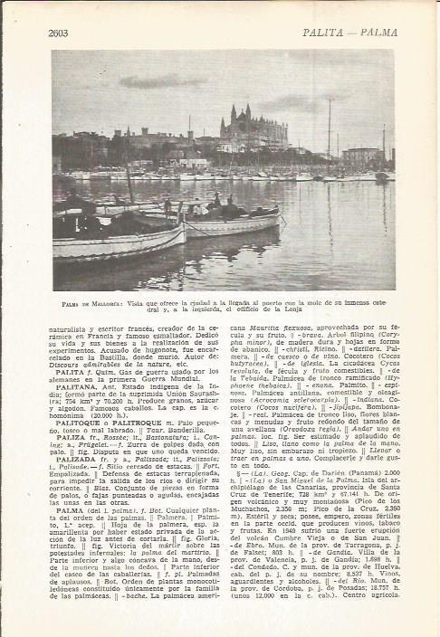 LAMINA 22491: Puerto de Palma de Mallorca