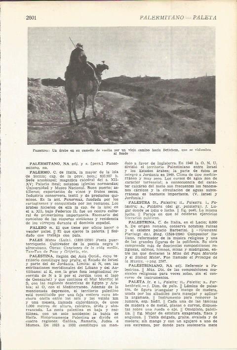 LAMINA 22490: Camello y jinete en Belen, Israel - Palestina