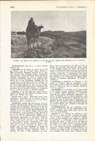 LAMINA 22490: Camello y jinete en Belen, Israel - Palestina