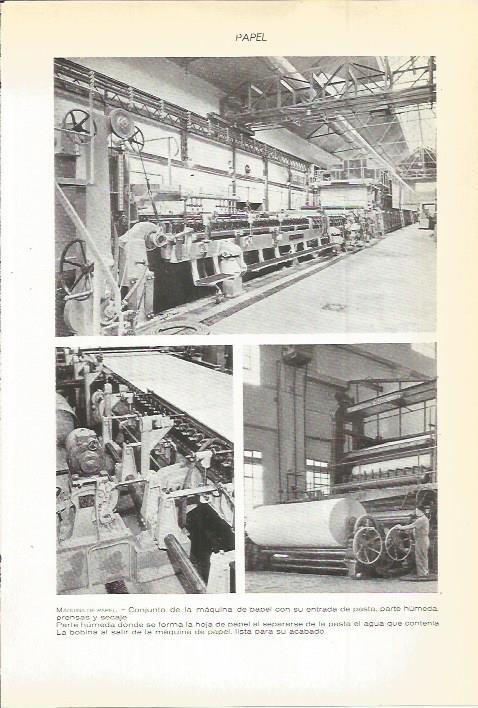 LAMINA 22495: Maquinas de fabricacion de papel