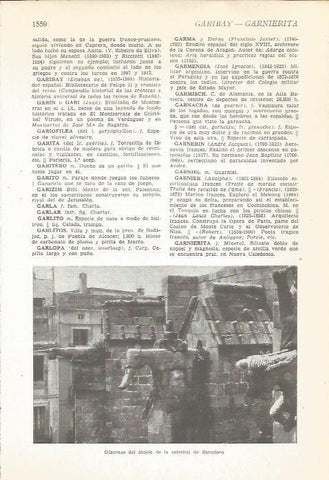 LAMINA 22237: Gargolas de la Catedral de Barcelona