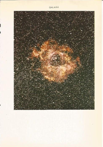 LAMINA 22227: Galaxia