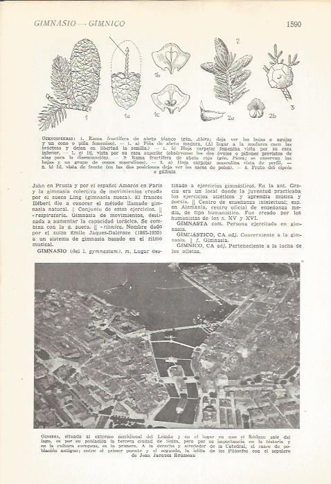 LAMINA 22243: Vista aerea de Ginebra, Suiza