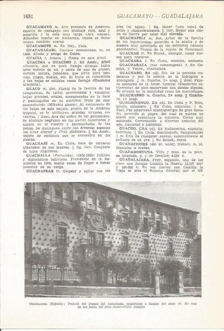 LAMINA 22266: Palacio del Duque del Infantado en Guadalajara
