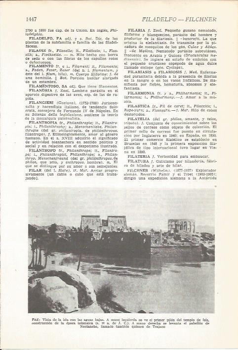 LAMINA 22201: Vista de la isla de Filae, Egipto