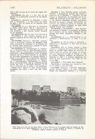 LAMINA 22201: Vista de la isla de Filae, Egipto