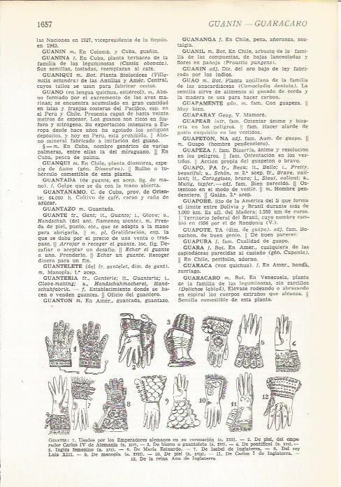 LAMINA 22269: Tipos de guantes