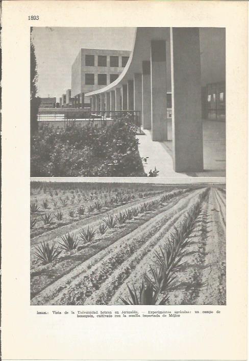 LAMINA 22333: Universidad Hebrea de Jerusalen y campo de benequen en Mexico